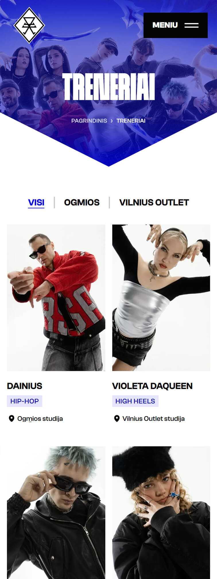 Portfolio: ANT studija website