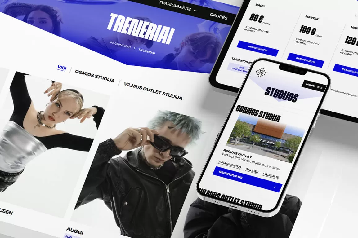 Portfolio: ANT studija website